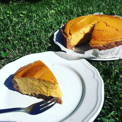 Mangový pečený cheesecake bez múky, bez oleja, bez cukru - Život je zmena