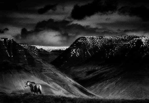 Mats Andersson | zoomphototours