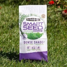 dense-shade-grass-seed-bag