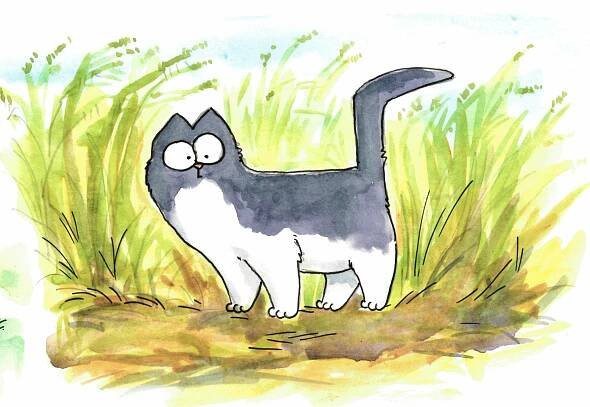 Simon’s Diary - Simon’s Cat