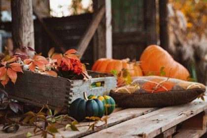 Podzimní dekorace (Zdroj: Shutterstock)