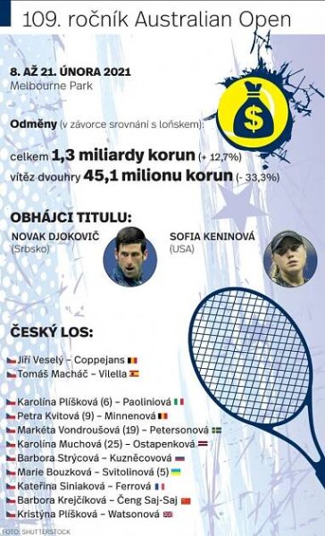 Infografika