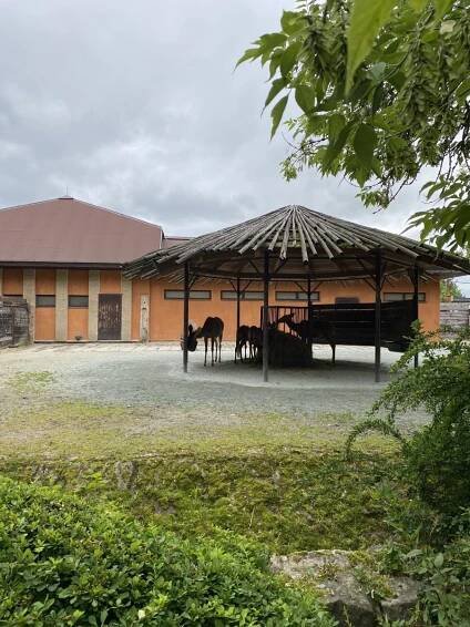 MŠ Kytička - ZOO Dvůr Králové