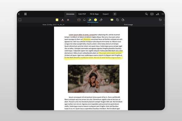 pdf expert pdf annotation app for ipad interface