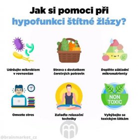 hypofunkce_stitne_zlazy_clanek-infografika_brainmarket_cz