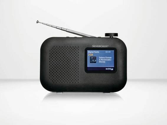 Rádio DAB+ / UKW SDRF 10 B1