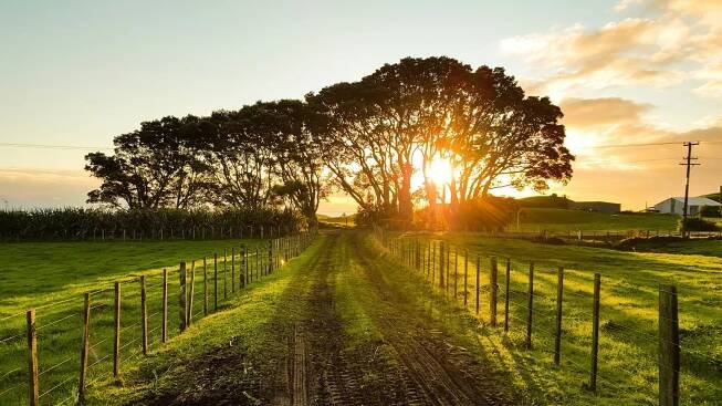 Rural Retreat or Investment? Owning Land in the Countryside Explained