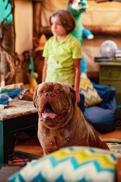 Turner a Hooch - Chlupy jsou věčné (E03) (2021)