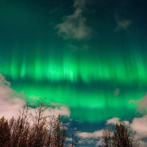 Northern lights visible across 18 states TONIGHT as experts reveal exactly when and where aurora borealis can be seen