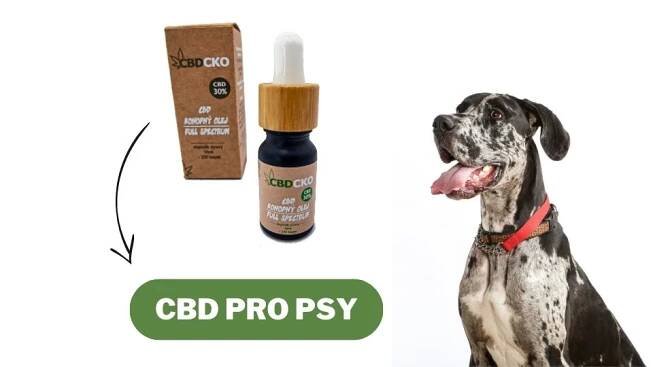 cbd pro psy (1)