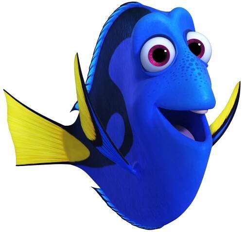 Nemo - L3