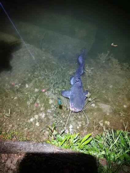 Rodinná dovolená - Freefish.cz