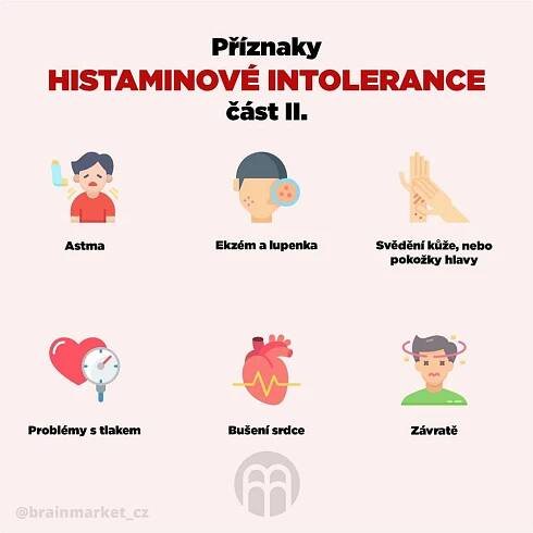 Histaminová intolerance káva - příznaky, příčiny a léčba - Srpen 2025 - LaskaVezrozeni.CZ