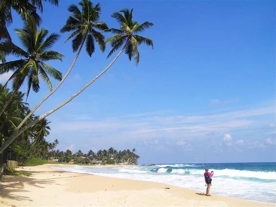 Zájezdy - Srí Lanka 2025, 2026 - GEOPS-CK 