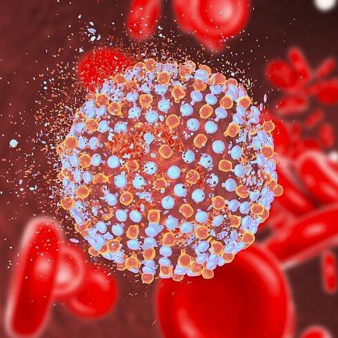 Virus hepatitidy typu C