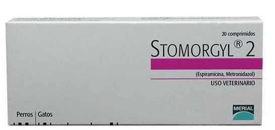 Stomorgyl