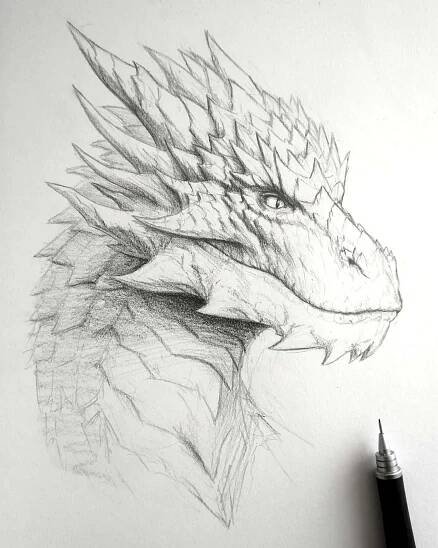 Dragon Face Sketch Pictures