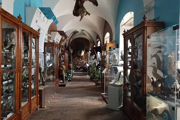 Vlastivědné muzeum a galerie v České Lípě