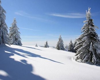 snow covered trees on the side of a snowy hill with blue sky and clouds in the background