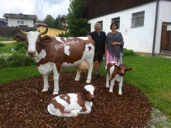 Bleiwanghof in Radstadt, Salzburger Sportwelt