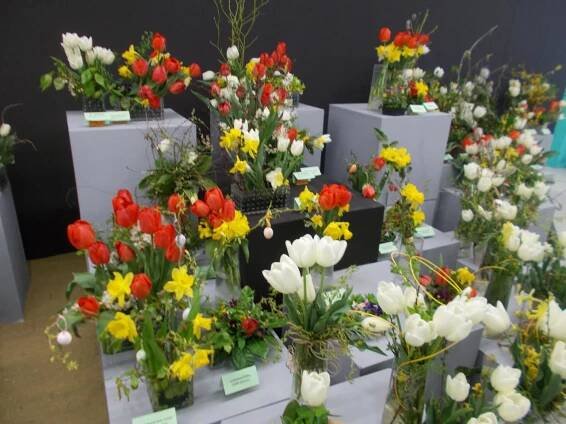 Zájezd Flora Olomouc 23.4.2022 - Oficiální stránky obce Žerůtky