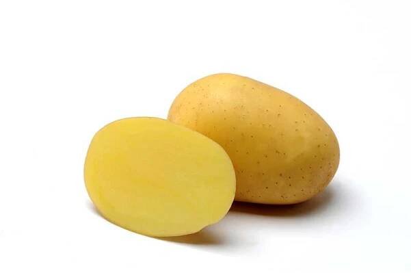 Rané
