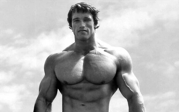 [100+] Arnold Schwarzenegger Wallpapers
