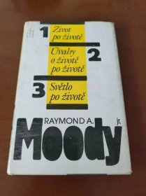 Raymond Moody Život po životě - Knihy a časopisy