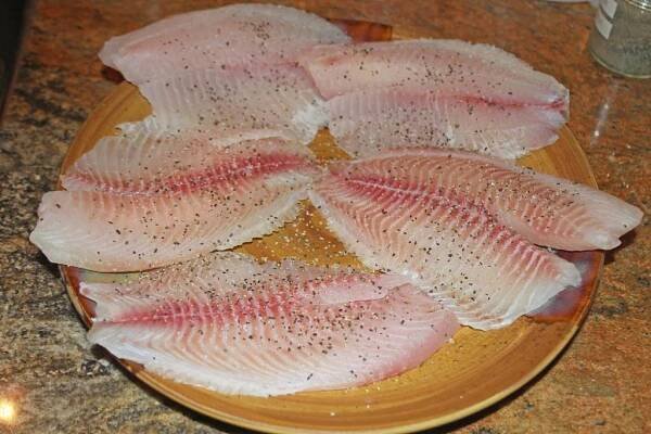 Tilápie filety bez kůže 140/200 | Ocean Food