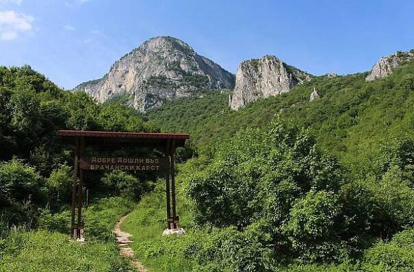 Vrača