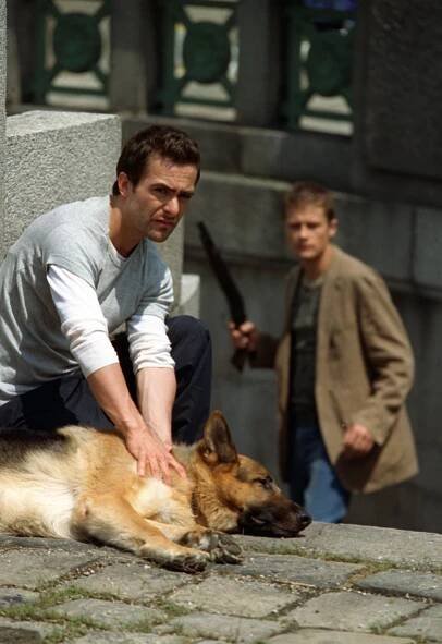 Komisař Rex - Atentát na Rexe (S09E01) (2003)