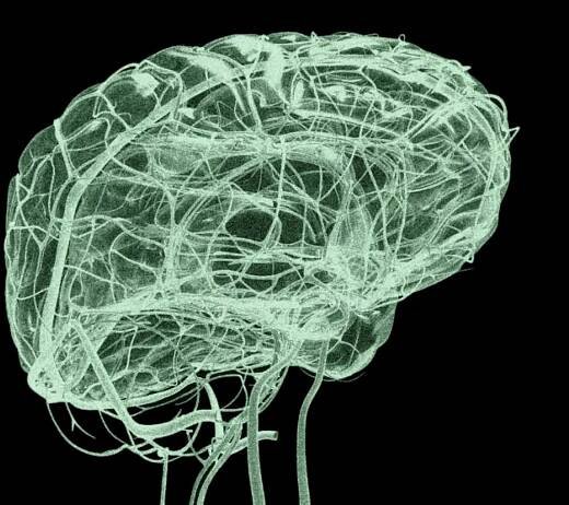 ALS patient becomes first person to tweet with just his brain