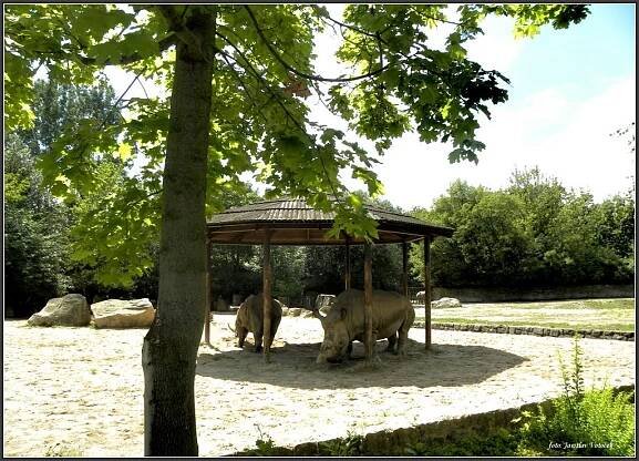 Dvůr Králové nad Labem - ZOO SAFARI