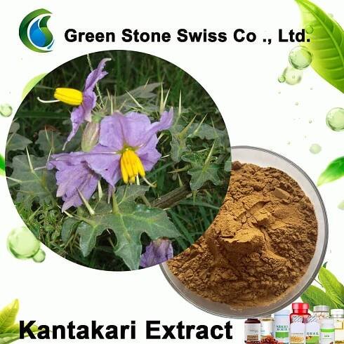 Koupit Kantakari Extract - Solanum Xanthocarpum Extract Cena,Dodávka,Výrobce od Green Stone