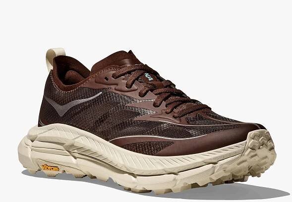 Hoka shoe