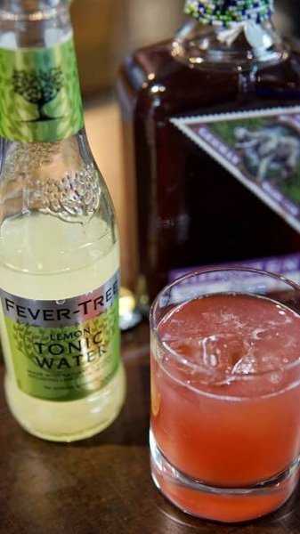 Elephand Sloe and FT Lemon Tonic