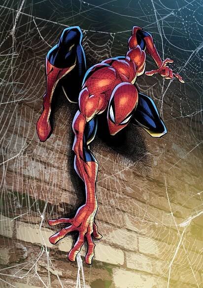 Patrick Brown Art