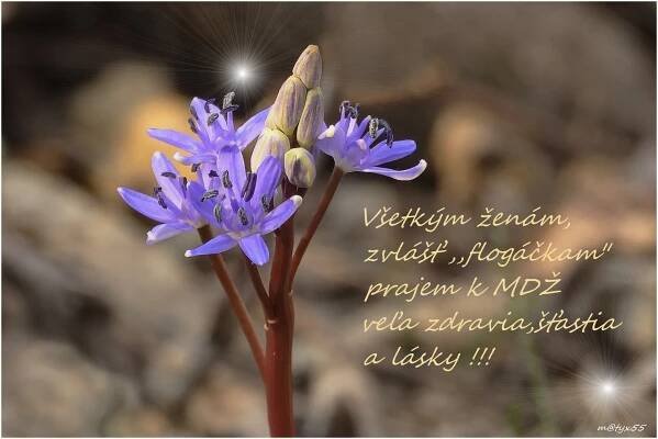 ... :-) ...