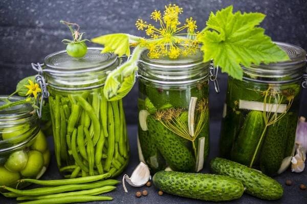 SAFLAX Bio - Okurka - Vorgebirgstraube - 15 semen - S květináčovým substrátem pro lepší kultivaci - Cucumis sativus