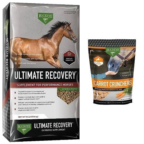 Buckeye Nutrition Ultimate Recovery Extruded Performance Pellets Supplement + All-Natural Carrot Horse Treats