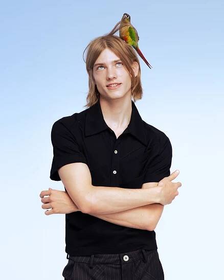 nikola lamburov