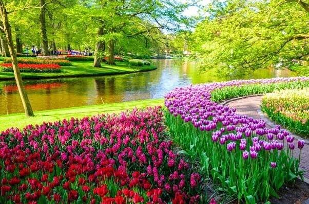 Keukenhof Park