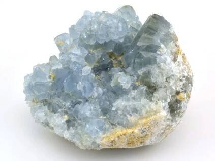 celestin celestine 29