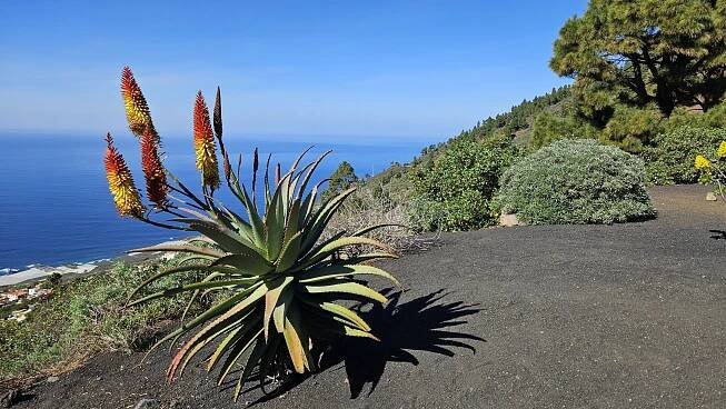 La Palma - naše druhé vánoce