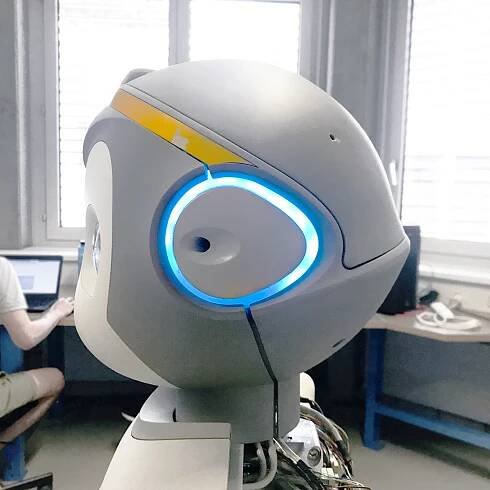 F&P Robotics – a new species of mechanical humans - Work - TEAMS
