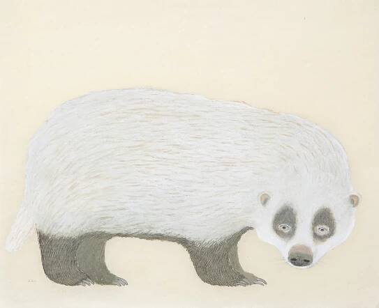 animal portrait i“ iru “ | ado(makiko watanabe) homepage