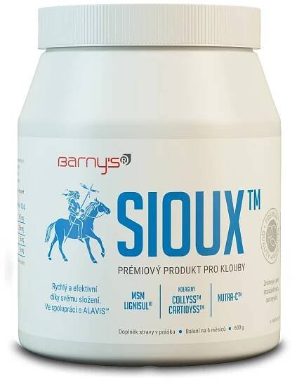Barny ́s Sioux MSM 600 g