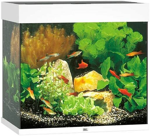 Akvárium set Juwel Lido LED 120l bílá