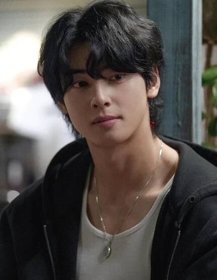 「K-drama」おしゃれまとめの人気アイデア｜Pinterest｜나탈리아 소토 | メンズ ヘアスタイル, 有名人, チャウヌ