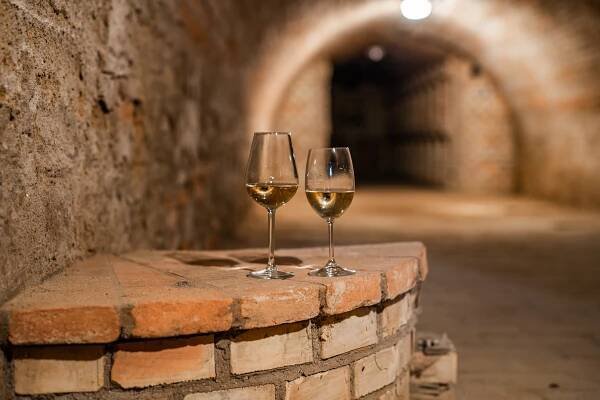 Pálava 2024 - Wine Bulhary